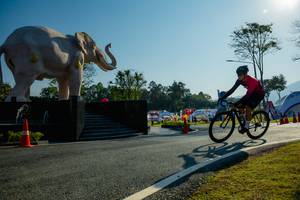 BIB: 
                            <button type="button" onclick="openModal(26182985)" class="btn btn-primary btn-sm float-right btn-popup" data-toggle="modal" data-target=".modal-high-quality">
                        <i class="fas fa-shopping-cart"></i> Add to Cart
                    </button>
                                            <button type="button" onclick="isThisMe(26182985, true)" class="btn btn-success btn-sm float-right btn-popup btn-isme hidden" data-toggle="tooltip" data-placement="bottom" title="นี่คือรูปของคุณใช่ไหม คลิกที่นี่เพื่อเอาเข้าอัลบั้ม">
                        <i class="fas fa-plus"></i> Add to album
                    </button>
                    <button type="button" onclick="isThisMe(26182985, false)" class="btn btn-warning btn-sm float-right btn-popup btn-isnotme hidden">
                        <i class="fas fa-ban"></i> Remove from album
                    </button>